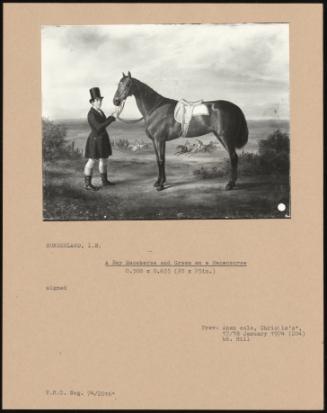 A Bay Racehorse And Groom On A Racecourse