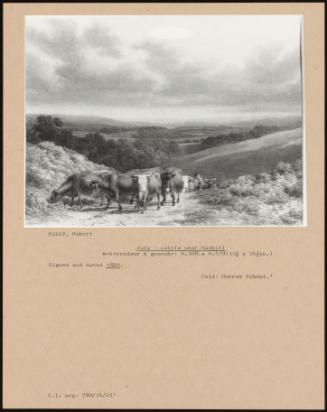 July - Cattle Near Boxhill