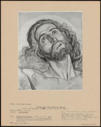 Study For The Head Of Christ