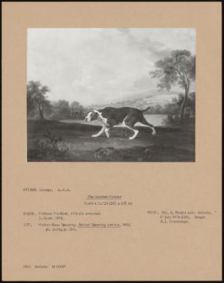 The Spanish Pointer