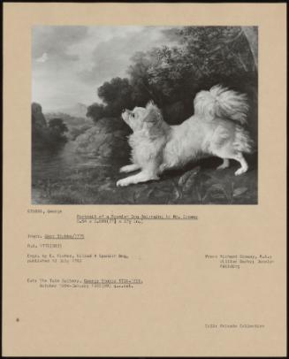 Portrait of a Spanish Dog Belonging to Mr. Cosway