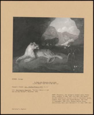 A Lion and Lioness in a Cave