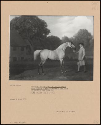 Gimcrack, the Property of Lord Grosvenor, with a Groom at Lord Grosvenor's Stud Farm at Oxcroft, Near Newmarket