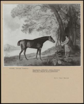 Racehorse 'sharke' with Trainer with Mr. Price in a Landscape