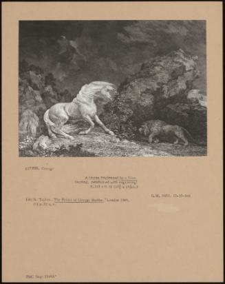 A Horse Frightened by a Lion