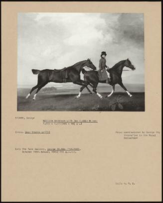 William Anderson With Two Saddle Horses