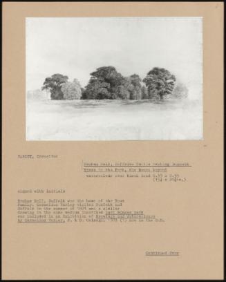 Henham Hall, Suffolk- Cattle Resting Beneath Trees In The Park, The House Beyond