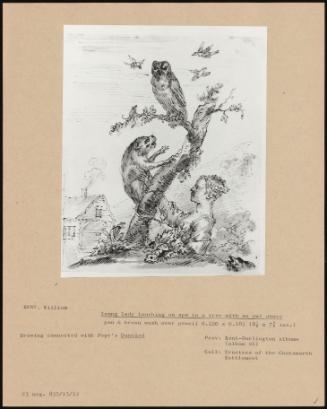 Young Lady Touching An Ape In A Tree With An Owl Above