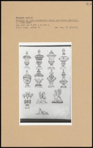 Studies Of Nine Ornamental Vases And Three Sphinxes