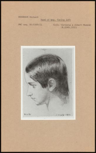 Head Of Boy, Facing Left