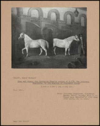 Hump And Stump, Two Favourite Phaeton Ponies Of H.R.H. The Princess Charlotte, In The Stables Of Claremont House.