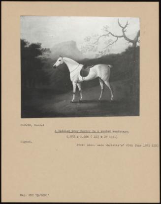 A Saddled Gray Hunter In A Wooded Landscape