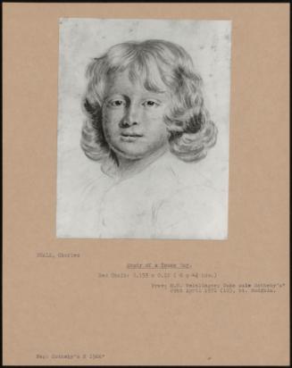 Study Of A Young Boy