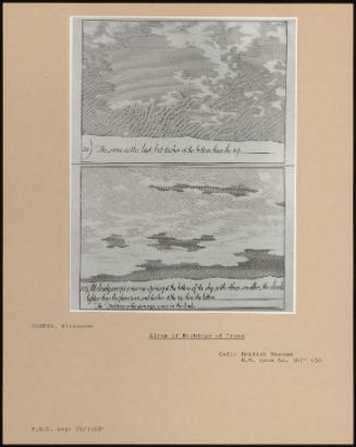 Album Of Etchings Of Trees