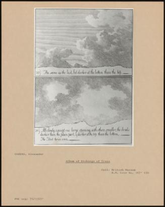 Album Of Etchings Of Trees