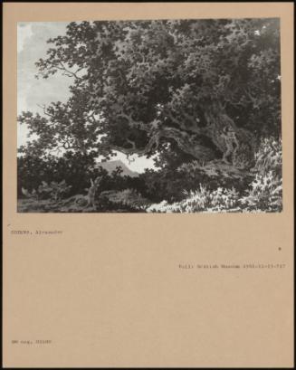 PA-F06675-0083