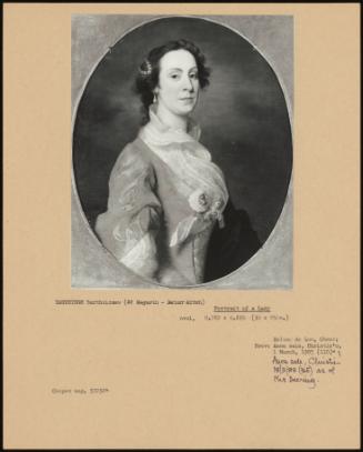 Portrait Of A Lady