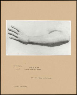 Study Of An Arm