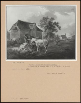 Country Scene With Horses Feeding