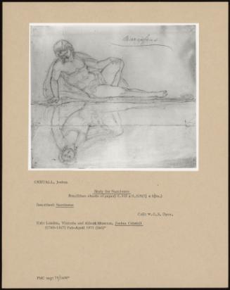 Study For Narcissus