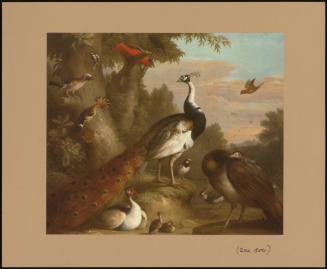 A Wooded Landscape With Peacocks And Other Birds In The Foreground