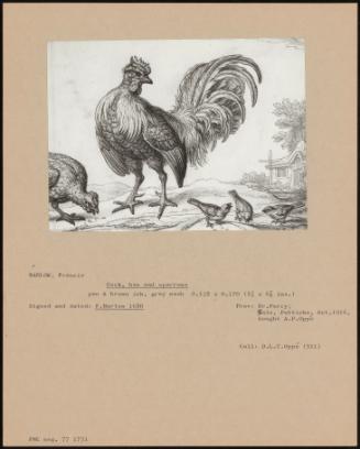 Cock, Hen And Sparrows