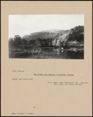 The Ponds Near Albury, Guildford, Surrey.