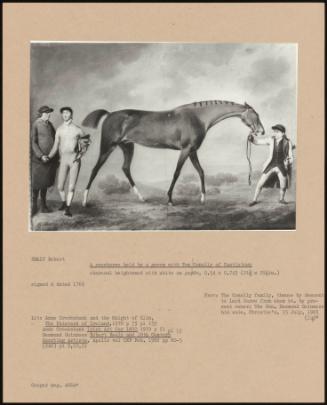 A Racehorse Held By A Groom With Tom Conolly Of Castletown
