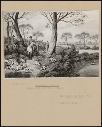 Hare Hunting, Plate Vii