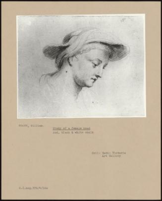 Study Of A Female Head