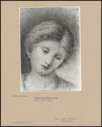 Study Of A Female Head