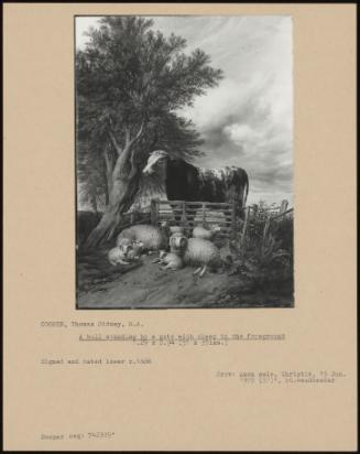 A Bull Standing By A Gate With Sheep In The Foreground