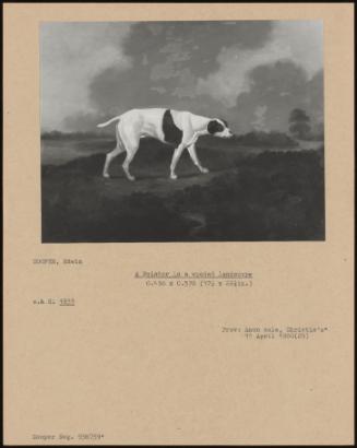 A Pointer In A Wooded Landscape