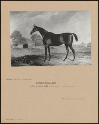 Chestnut Horse, 1821