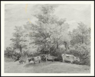 Landscape with cows and trees