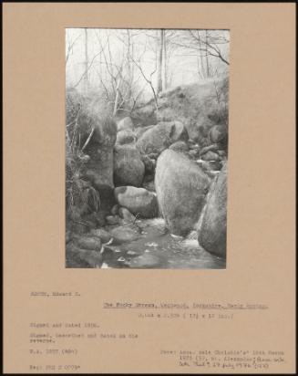 The Rocky Stream, Westwood, Yorkshire, Early Spring